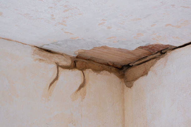 Best Water damage contractors near me  in Golden Hills, CA